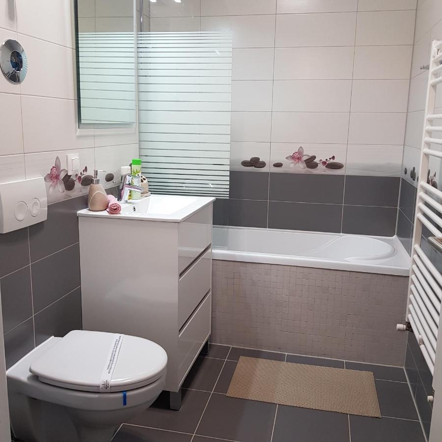 Appartement T&M à Braşov Extérieur photo