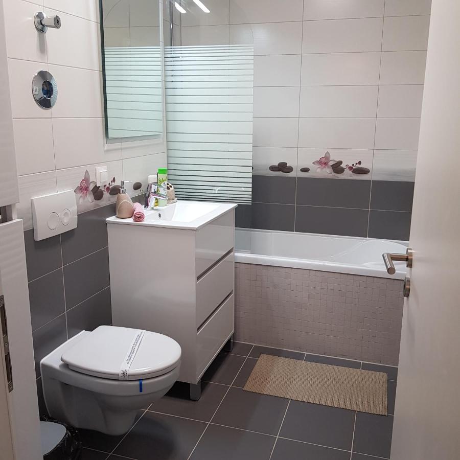 Appartement T&M à Braşov Extérieur photo