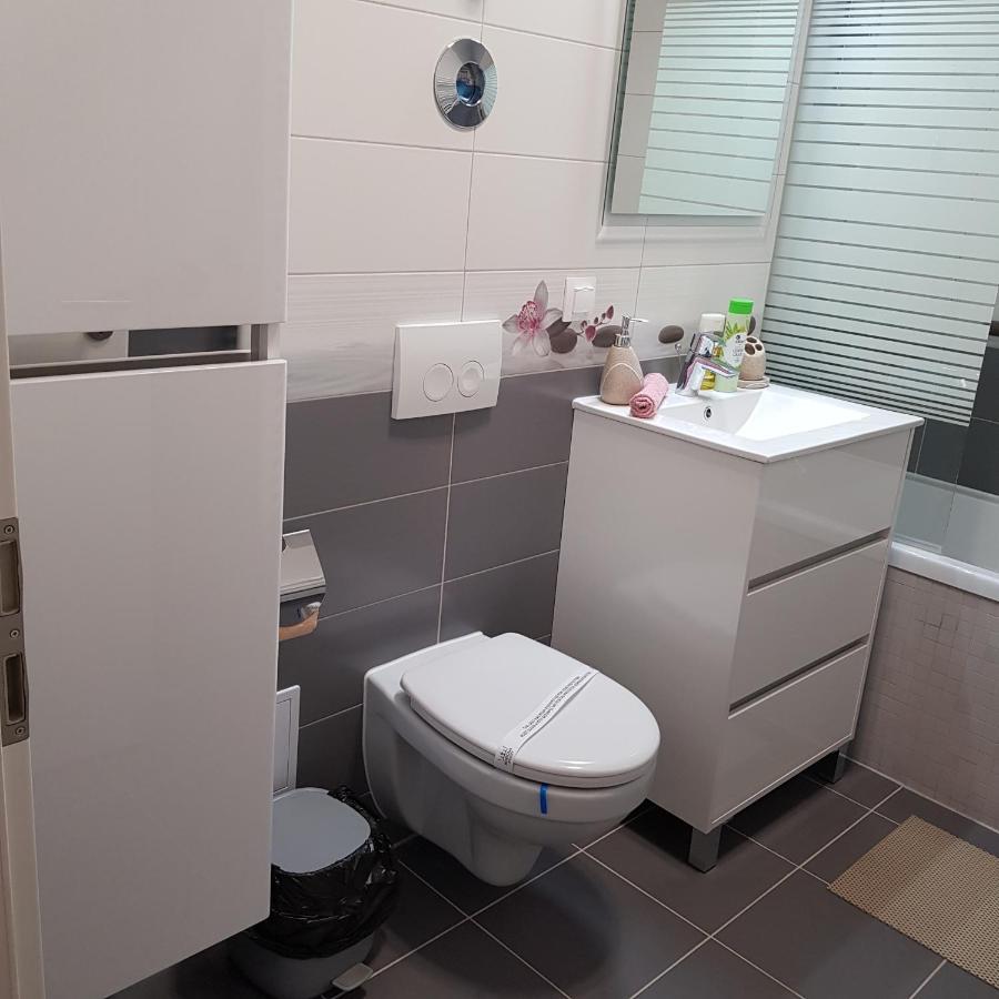 Appartement T&M à Braşov Extérieur photo