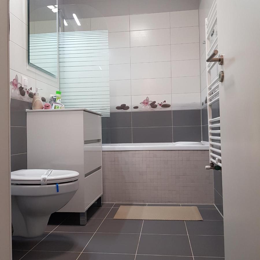 Appartement T&M à Braşov Extérieur photo